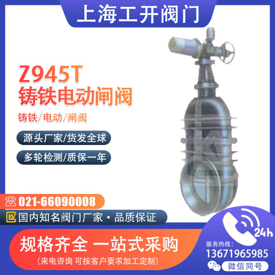 閘閥  電動(dòng)暗桿楔式閘閥