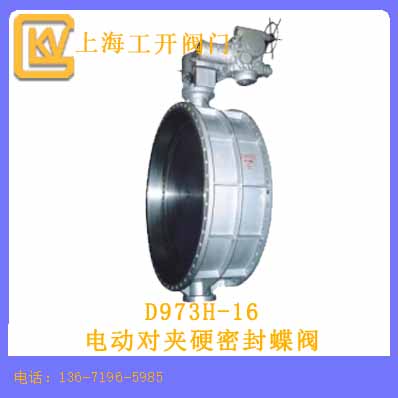 電動(dòng)對夾硬密封蝶閥